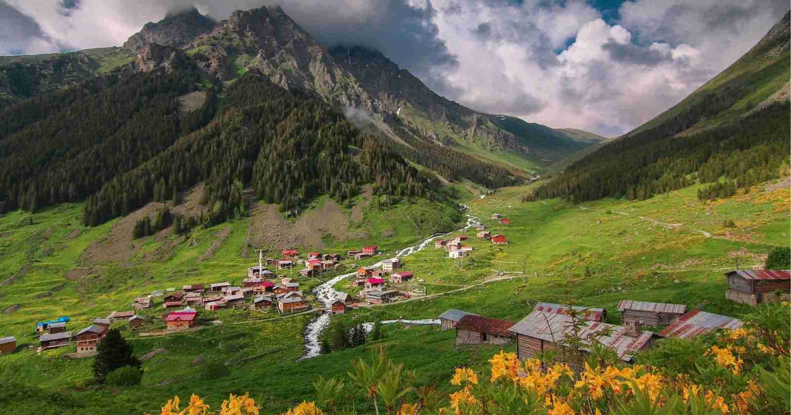 pin valley national park spiti