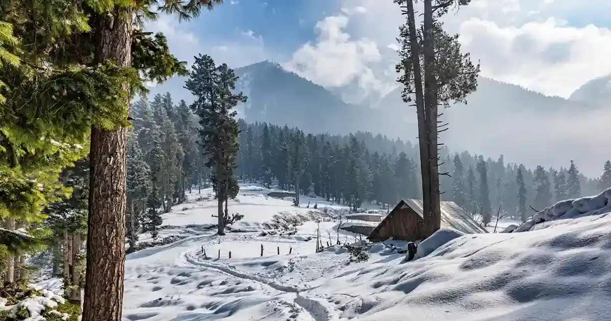 Faridabad to Kashmir
