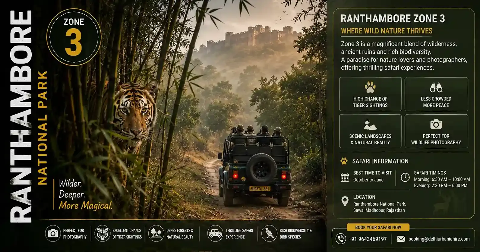 zone 3 ranthambore
